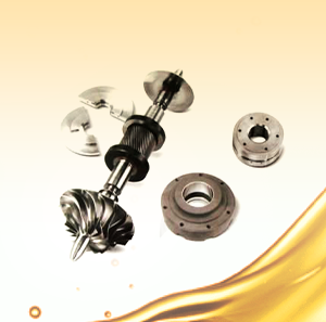 AM62155 Leroi Tune Up Kit For Model 100SDS-2 Replacement by Talon